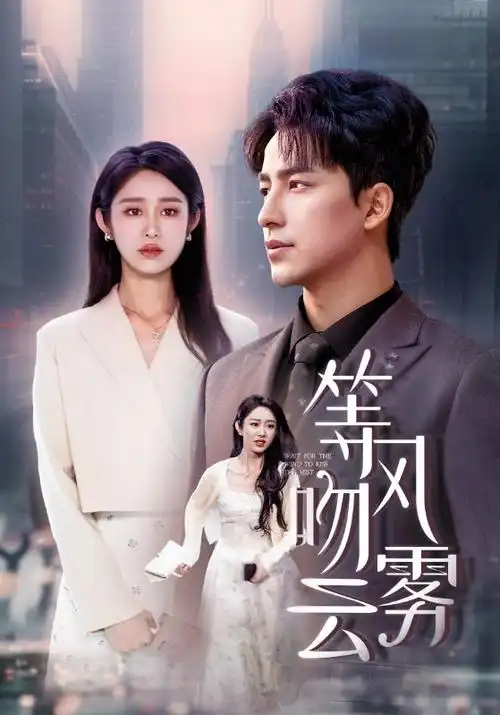 玖玖视频年代群像剧长夜执灯人海报